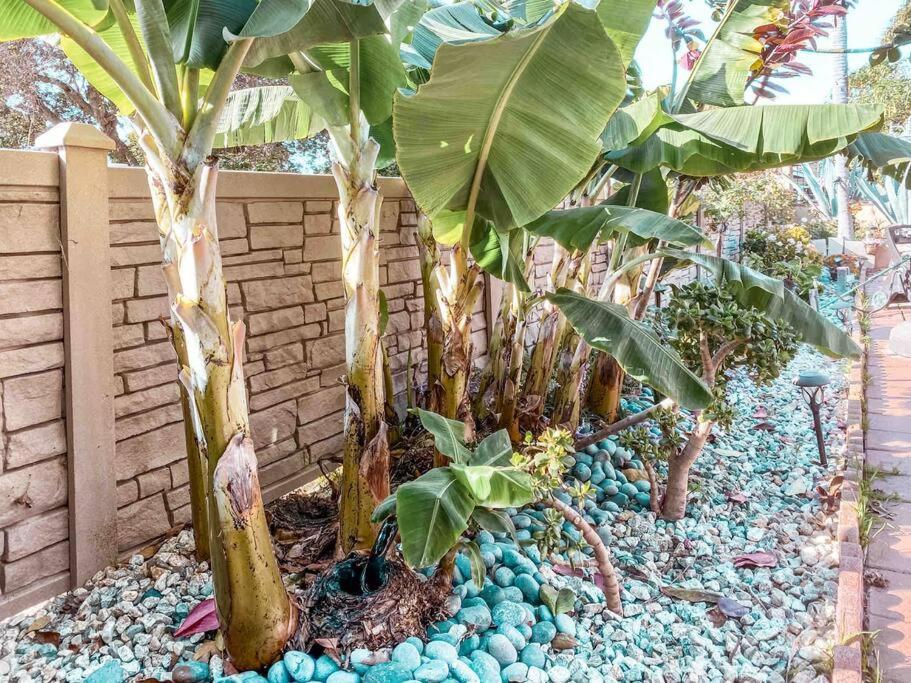 Cozy Walking Distance From Ocean Villa *
