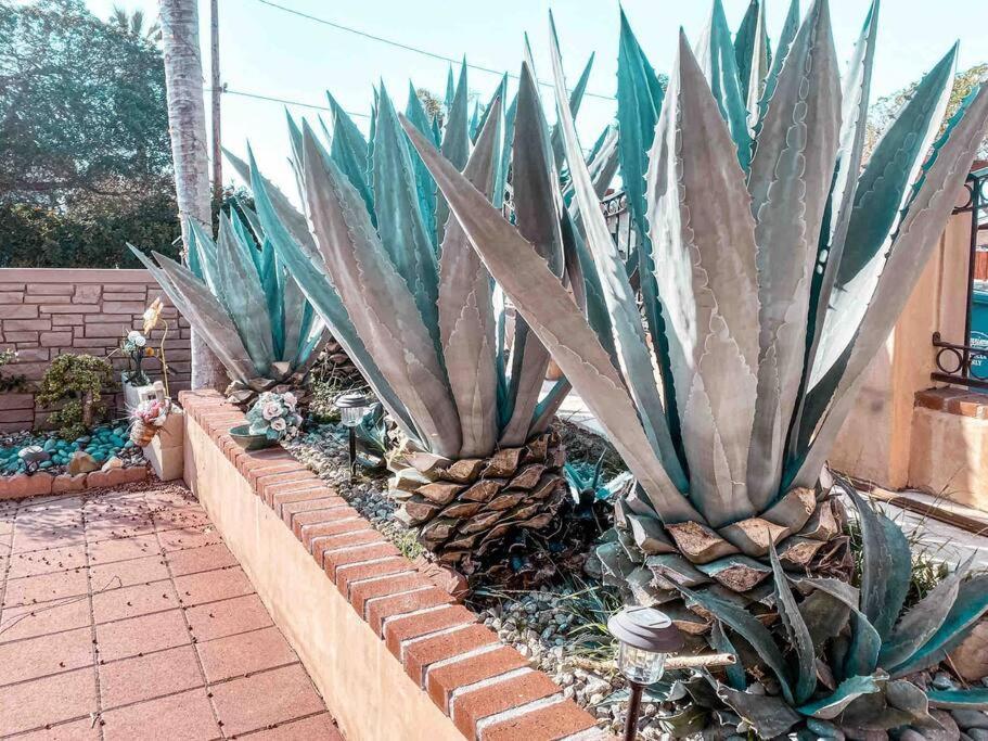 Cozy Walking Distance From Ocean Villa